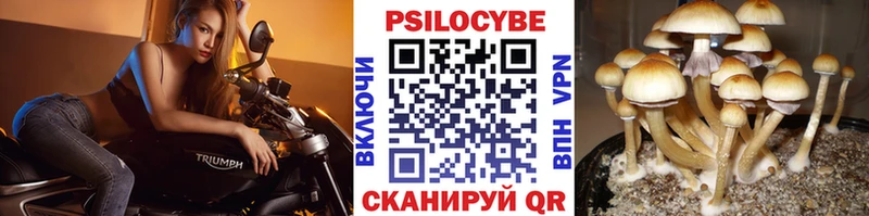 Галлюциногенные грибы мухоморы  цены наркотик  Волоколамск 
